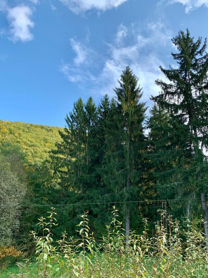 Grand Spa Holiday Home II Sklene Teplice Luaran gambar